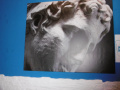 P1000384-650x488