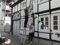 P1000388-650x650