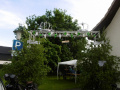 P1000424-650x650