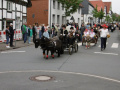 P1000410-650x650